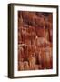 Utah, Bryce Canyon National Park, Hoodoos in Bryce Amphitheater-David Wall-Framed Photographic Print