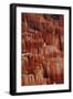 Utah, Bryce Canyon National Park, Hoodoos in Bryce Amphitheater-David Wall-Framed Photographic Print