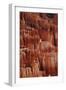 Utah, Bryce Canyon National Park, Hoodoos in Bryce Amphitheater-David Wall-Framed Photographic Print