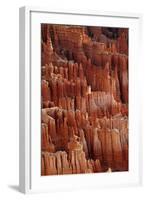 Utah, Bryce Canyon National Park, Hoodoos in Bryce Amphitheater-David Wall-Framed Photographic Print