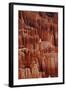 Utah, Bryce Canyon National Park, Hoodoos in Bryce Amphitheater-David Wall-Framed Photographic Print