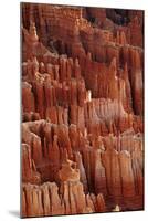 Utah, Bryce Canyon National Park, Hoodoos in Bryce Amphitheater-David Wall-Mounted Photographic Print