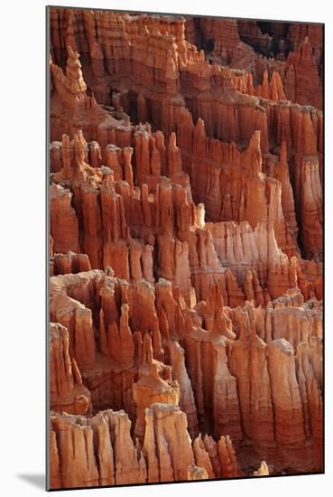 Utah, Bryce Canyon National Park, Hoodoos in Bryce Amphitheater-David Wall-Mounted Photographic Print