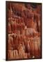 Utah, Bryce Canyon National Park, Hoodoos in Bryce Amphitheater-David Wall-Framed Photographic Print