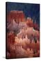 Utah, Bryce Canyon National Park, Hoodoos in Bryce Amphitheater-David Wall-Stretched Canvas