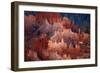 Utah, Bryce Canyon National Park, Hoodoos in Bryce Amphitheater-David Wall-Framed Photographic Print