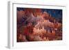 Utah, Bryce Canyon National Park, Hoodoos in Bryce Amphitheater-David Wall-Framed Photographic Print