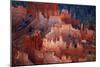 Utah, Bryce Canyon National Park, Hoodoos in Bryce Amphitheater-David Wall-Mounted Photographic Print