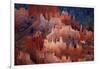 Utah, Bryce Canyon National Park, Hoodoos in Bryce Amphitheater-David Wall-Framed Photographic Print