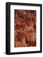 Utah, Bryce Canyon National Park, Hoodoos in Bryce Amphitheater-David Wall-Framed Photographic Print