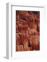 Utah, Bryce Canyon National Park, Hoodoos in Bryce Amphitheater-David Wall-Framed Photographic Print