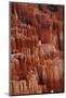 Utah, Bryce Canyon National Park, Hoodoos in Bryce Amphitheater-David Wall-Mounted Photographic Print