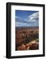 Utah, Bryce Canyon National Park, Hoodoos in Bryce Amphitheater-David Wall-Framed Photographic Print