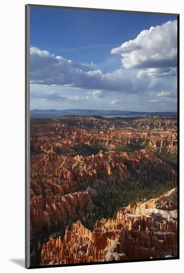 Utah, Bryce Canyon National Park, Hoodoos in Bryce Amphitheater-David Wall-Mounted Photographic Print