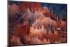 Utah, Bryce Canyon National Park, Hoodoos in Bryce Amphitheater-David Wall-Mounted Photographic Print