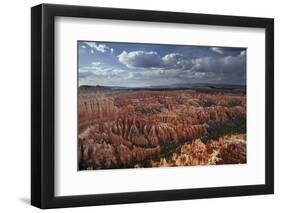 Utah, Bryce Canyon National Park, Hoodoos in Bryce Amphitheater-David Wall-Framed Photographic Print