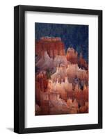 Utah, Bryce Canyon National Park, Hoodoos in Bryce Amphitheater-David Wall-Framed Photographic Print