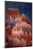 Utah, Bryce Canyon National Park, Hoodoos in Bryce Amphitheater-David Wall-Mounted Photographic Print