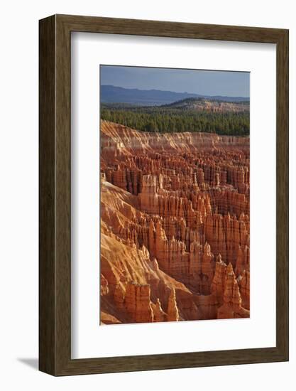 Utah, Bryce Canyon National Park, Hoodoos in Bryce Amphitheater-David Wall-Framed Photographic Print