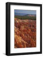 Utah, Bryce Canyon National Park, Hoodoos in Bryce Amphitheater-David Wall-Framed Photographic Print