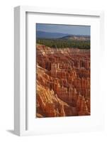 Utah, Bryce Canyon National Park, Hoodoos in Bryce Amphitheater-David Wall-Framed Photographic Print