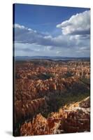 Utah, Bryce Canyon National Park, Hoodoos in Bryce Amphitheater-David Wall-Stretched Canvas