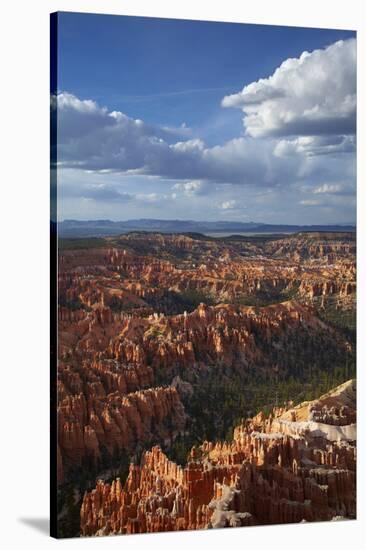 Utah, Bryce Canyon National Park, Hoodoos in Bryce Amphitheater-David Wall-Stretched Canvas