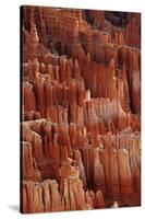 Utah, Bryce Canyon National Park, Hoodoos in Bryce Amphitheater-David Wall-Stretched Canvas