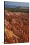 Utah, Bryce Canyon National Park, Hoodoos in Bryce Amphitheater-David Wall-Stretched Canvas