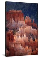 Utah, Bryce Canyon National Park, Hoodoos in Bryce Amphitheater-David Wall-Stretched Canvas