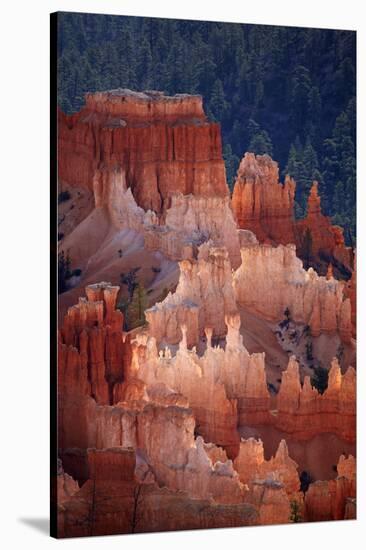 Utah, Bryce Canyon National Park, Hoodoos in Bryce Amphitheater-David Wall-Stretched Canvas