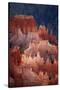 Utah, Bryce Canyon National Park, Hoodoos in Bryce Amphitheater-David Wall-Stretched Canvas