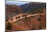 Utah, Bryce Canyon National Park, Horse Trekkers Near Queens Garden Trail-David Wall-Mounted Photographic Print