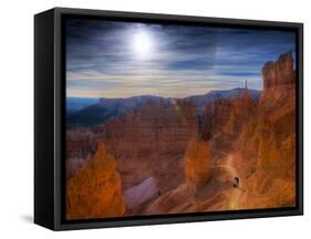 Utah, Bryce Canyon National Park, Navajo Loop Trail, USA-Alan Copson-Framed Stretched Canvas