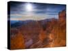 Utah, Bryce Canyon National Park, Navajo Loop Trail, USA-Alan Copson-Stretched Canvas