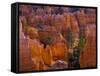 Utah, Bryce Canyon National Park, Near Sunset Point, USA-Alan Copson-Framed Stretched Canvas