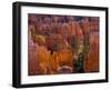 Utah, Bryce Canyon National Park, Near Sunset Point, USA-Alan Copson-Framed Photographic Print