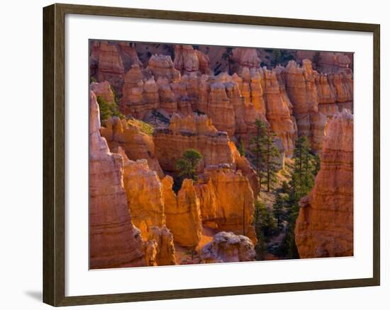 Utah, Bryce Canyon National Park, Near Sunset Point, USA-Alan Copson-Framed Photographic Print