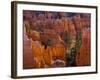 Utah, Bryce Canyon National Park, Near Sunset Point, USA-Alan Copson-Framed Photographic Print