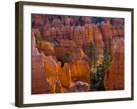 Utah, Bryce Canyon National Park, Near Sunset Point, USA-Alan Copson-Framed Photographic Print