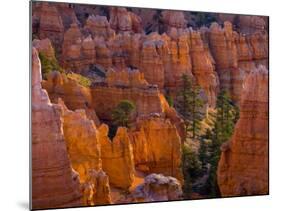 Utah, Bryce Canyon National Park, Near Sunset Point, USA-Alan Copson-Mounted Photographic Print