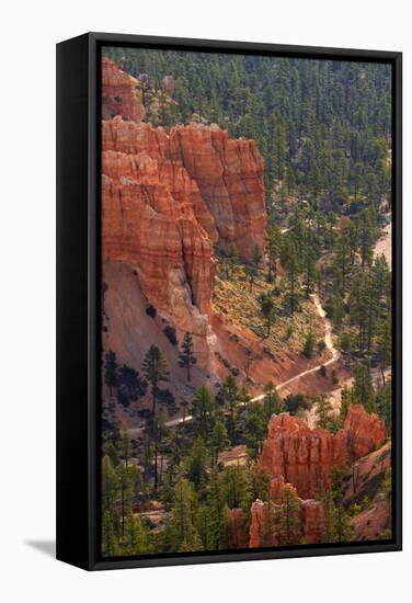 Utah, Bryce Canyon National Park, Queens Garden Trail Through Hoodoos-David Wall-Framed Stretched Canvas