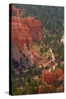 Utah, Bryce Canyon National Park, Queens Garden Trail Through Hoodoos-David Wall-Stretched Canvas