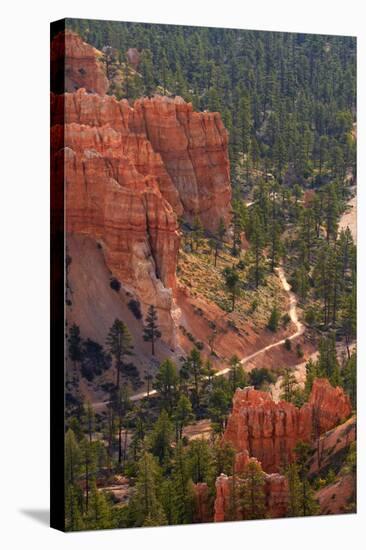 Utah, Bryce Canyon National Park, Queens Garden Trail Through Hoodoos-David Wall-Stretched Canvas