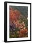 Utah, Bryce Canyon National Park, Queens Garden Trail Through Hoodoos-David Wall-Framed Photographic Print