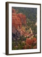 Utah, Bryce Canyon National Park, Queens Garden Trail Through Hoodoos-David Wall-Framed Photographic Print