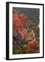 Utah, Bryce Canyon National Park, Queens Garden Trail Through Hoodoos-David Wall-Framed Photographic Print