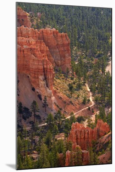 Utah, Bryce Canyon National Park, Queens Garden Trail Through Hoodoos-David Wall-Mounted Photographic Print