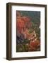 Utah, Bryce Canyon National Park, Queens Garden Trail Through Hoodoos-David Wall-Framed Photographic Print