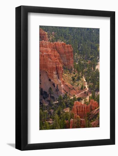 Utah, Bryce Canyon National Park, Queens Garden Trail Through Hoodoos-David Wall-Framed Photographic Print
